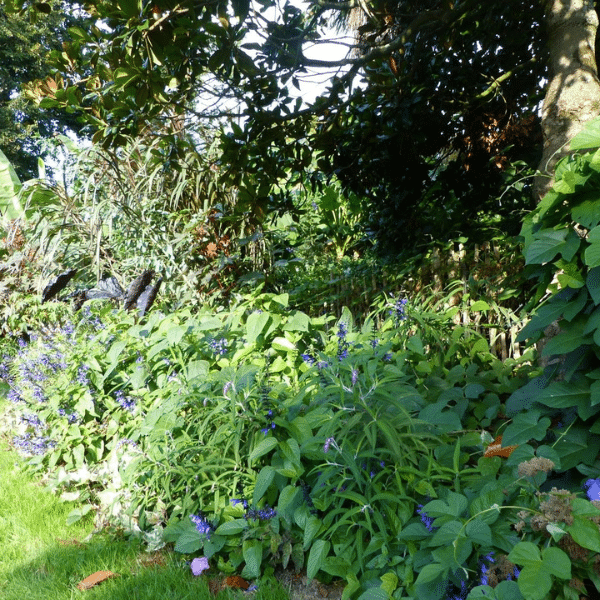 bénéficier des avantages fiscaux pour l'entretien de votre jardin